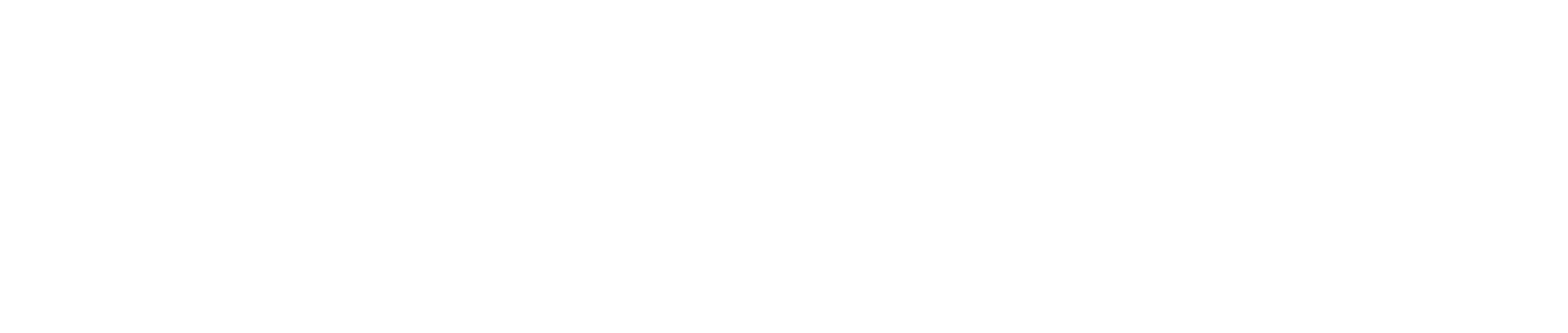 Universidad Norbert Wiener